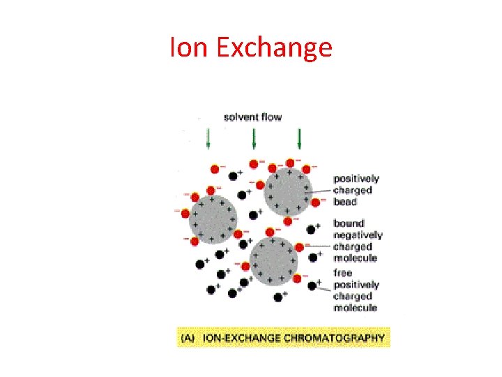 Ion Exchange 