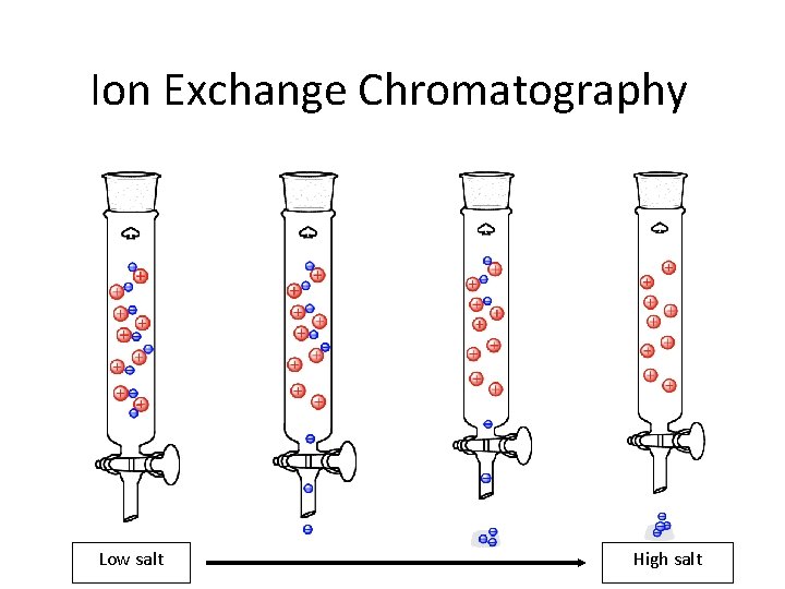 Ion Exchange Chromatography Low salt High salt 