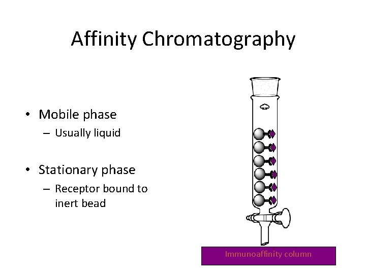 Affinity Chromatography • Mobile phase – Usually liquid • Stationary phase – Receptor bound