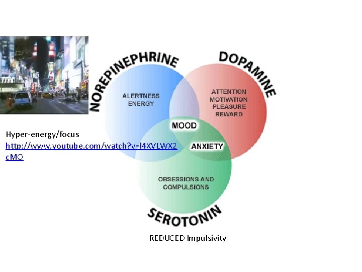 Hyper-energy/focus http: //www. youtube. com/watch? v=l 4 XVLWX 2 c. MQ REDUCED Impulsivity 