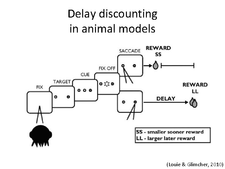 Delay discounting in animal models (Louie & Glimcher, 2010) 