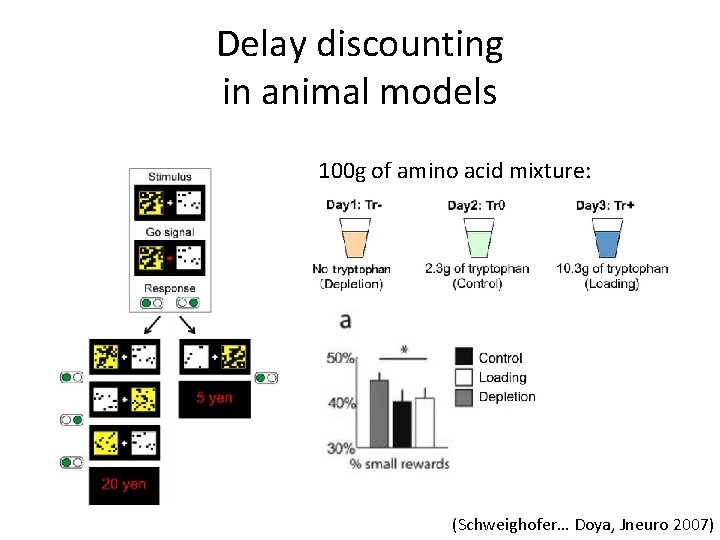 Delay discounting in animal models 100 g of amino acid mixture: (Schweighofer… Doya, Jneuro