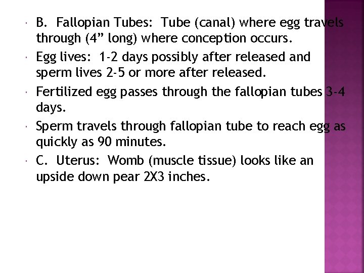  B. Fallopian Tubes: Tube (canal) where egg travels through (4” long) where conception