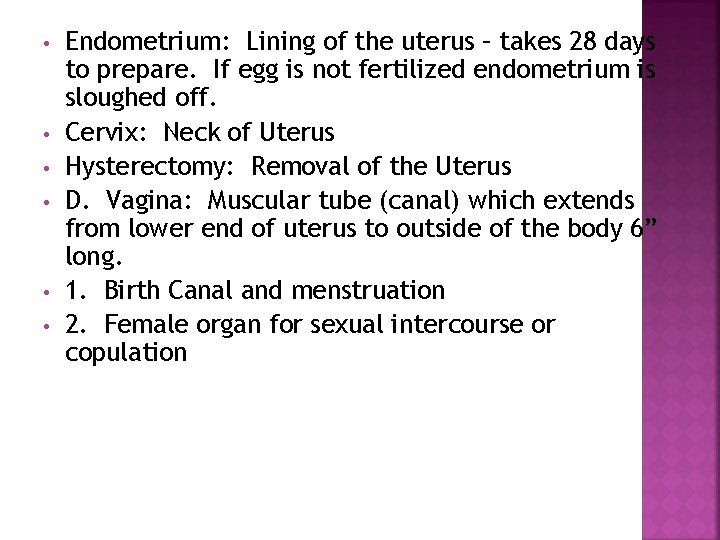  • • • Endometrium: Lining of the uterus – takes 28 days to