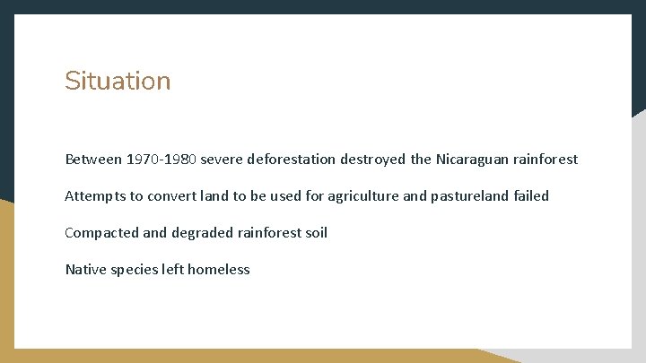 Situation Between 1970 -1980 severe deforestation destroyed the Nicaraguan rainforest Attempts to convert land