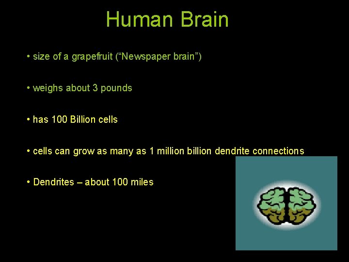 Human Brain • size of a grapefruit (“Newspaper brain”) • weighs about 3 pounds
