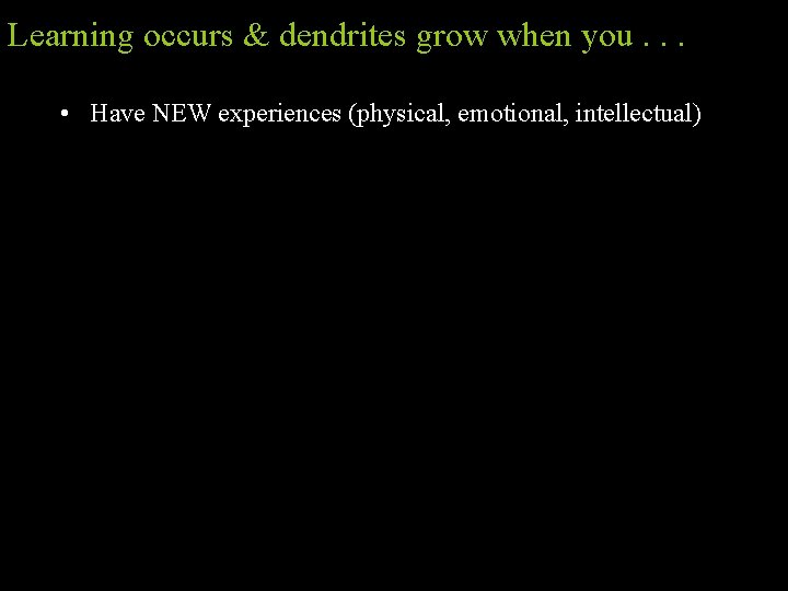Learning occurs & dendrites grow when you. . . • Have NEW experiences (physical,