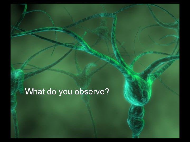 What do you observe? 