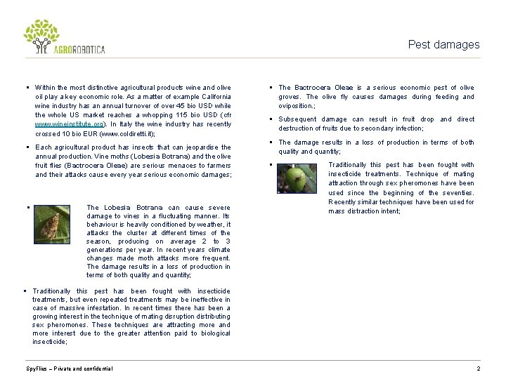 Pest damages § Within the most distinctive agricultural products wine and olive oil play
