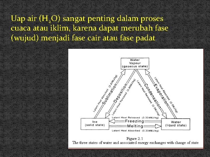 Uap air (H 2 O) sangat penting dalam proses cuaca atau iklim, karena dapat