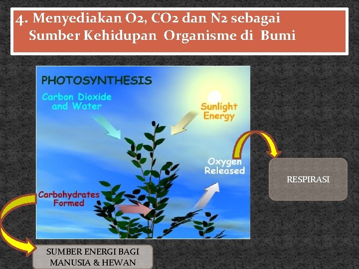 4. Menyediakan O 2, CO 2 dan N 2 sebagai Sumber Kehidupan Organisme di