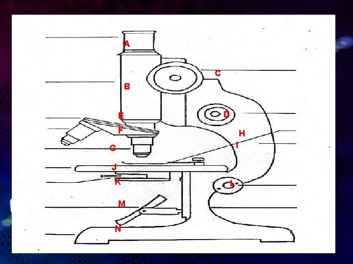 Microscope A C B E D F H I G J K M N