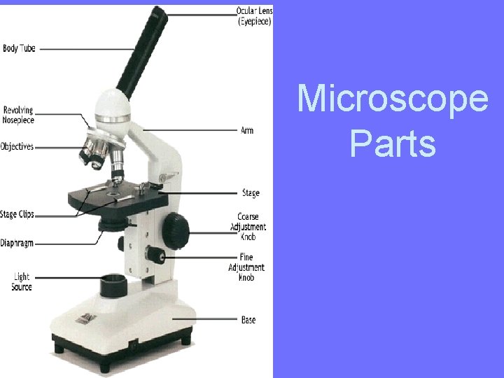 Microscope Parts 