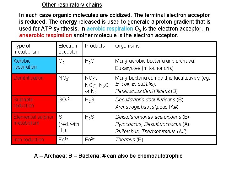 Other respiratory chains In each case organic molecules are oxidized. The terminal electron acceptor