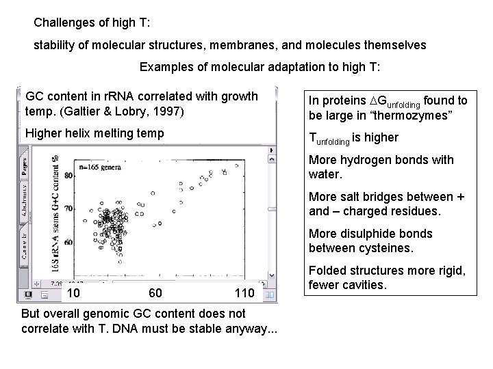 Challenges of high T: stability of molecular structures, membranes, and molecules themselves Examples of
