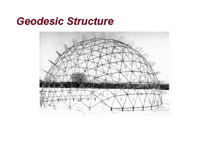 Geodesic Structure 