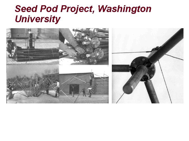 Seed Pod Project, Washington University 