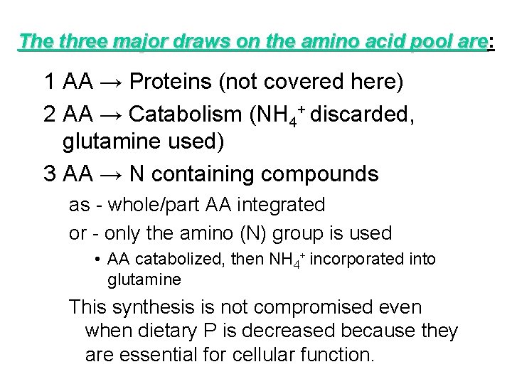 The three major draws on the amino acid pool are: are 1 AA →