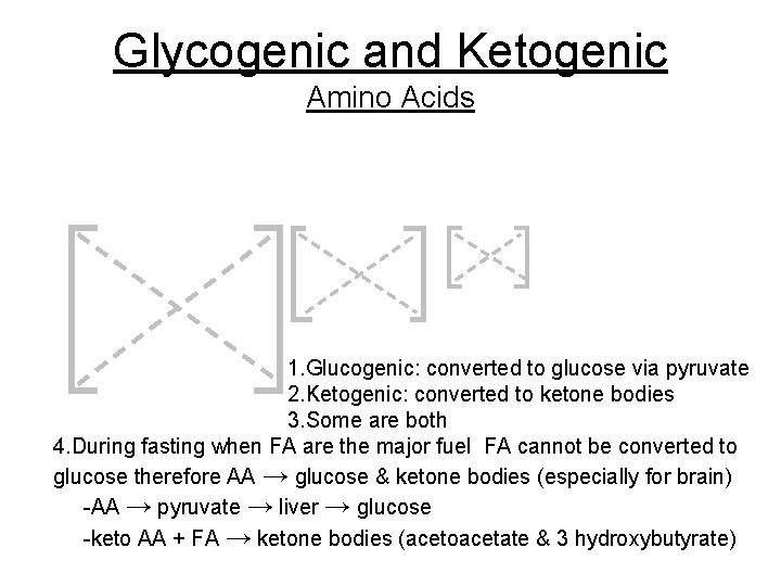 Glycogenic and Ketogenic Amino Acids 1. Glucogenic: converted to glucose via pyruvate 2. Ketogenic: