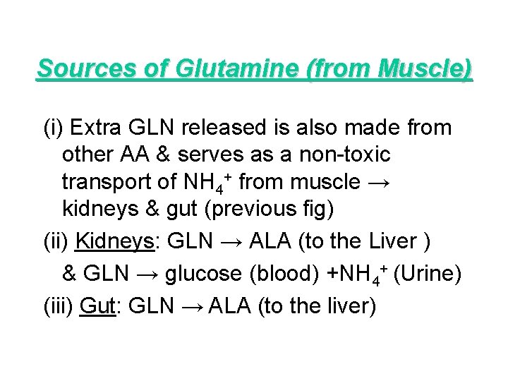 Sources of Glutamine (from Muscle) (i) Extra GLN released is also made from other