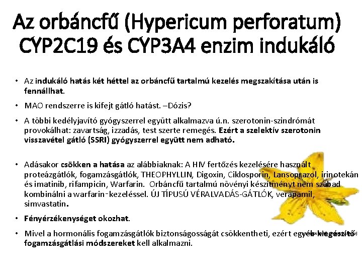 Az orbáncfű (Hypericum perforatum) CYP 2 C 19 és CYP 3 A 4 enzim Az orbáncfű (Hypericum perforatum) CYP 2 C 19 és CYP 3 A 4 enzim