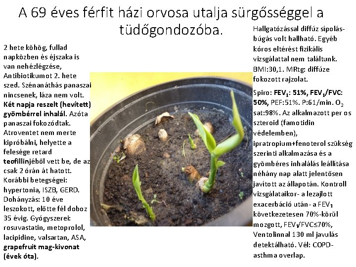 A 69 éves férfit házi orvosa utalja sürgősséggel a Hallgatózással diffúz sípolás‐ tüdőgondozóba. búgás A 69 éves férfit házi orvosa utalja sürgősséggel a Hallgatózással diffúz sípolás‐ tüdőgondozóba. búgás
