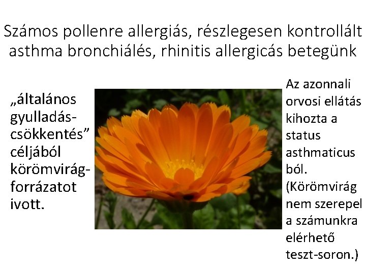 Számos pollenre allergiás, részlegesen kontrollált asthma bronchiálés, rhinitis allergicás betegünk „általános gyulladás‐ csökkentés” céljából Számos pollenre allergiás, részlegesen kontrollált asthma bronchiálés, rhinitis allergicás betegünk „általános gyulladás‐ csökkentés” céljából