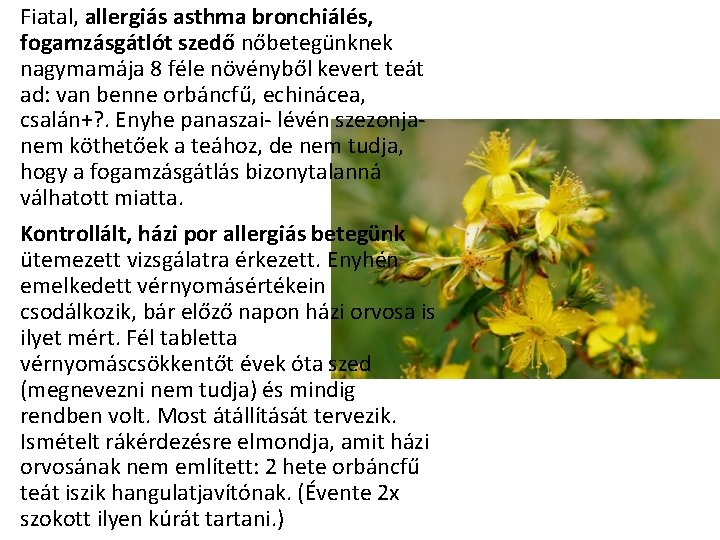 Fiatal, allergiás asthma bronchiálés, fogamzásgátlót szedő nőbetegünknek nagymamája 8 féle növényből kevert teát ad: Fiatal, allergiás asthma bronchiálés, fogamzásgátlót szedő nőbetegünknek nagymamája 8 féle növényből kevert teát ad: