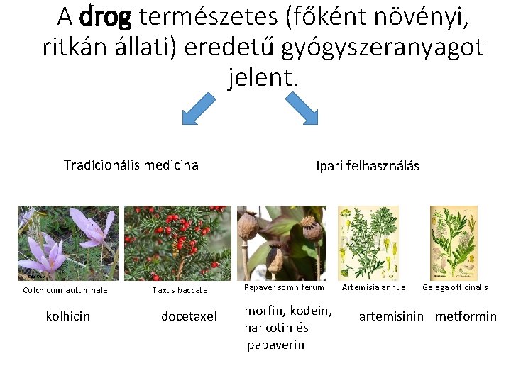 A drog természetes (főként növényi, ritkán állati) eredetű gyógyszeranyagot jelent. Tradícionális medicina Ipari felhasználás A drog természetes (főként növényi, ritkán állati) eredetű gyógyszeranyagot jelent. Tradícionális medicina Ipari felhasználás