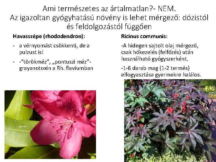 Ami természetes az ártalmatlan? - NEM. Az igazoltan gyógyhatású növény is lehet mérgező: dózistól Ami természetes az ártalmatlan? - NEM. Az igazoltan gyógyhatású növény is lehet mérgező: dózistól