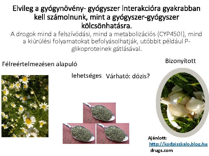 Elvileg a gyógynövény- gyógyszer interakcióra gyakrabban kell számolnunk, mint a gyógyszer-gyógyszer kölcsönhatásra. A drogok Elvileg a gyógynövény- gyógyszer interakcióra gyakrabban kell számolnunk, mint a gyógyszer-gyógyszer kölcsönhatásra. A drogok