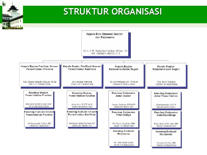 STRUKTUR ORGANISASI 