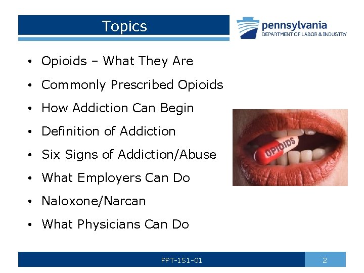 Topics • Opioids – What They Are • Commonly Prescribed Opioids • How Addiction