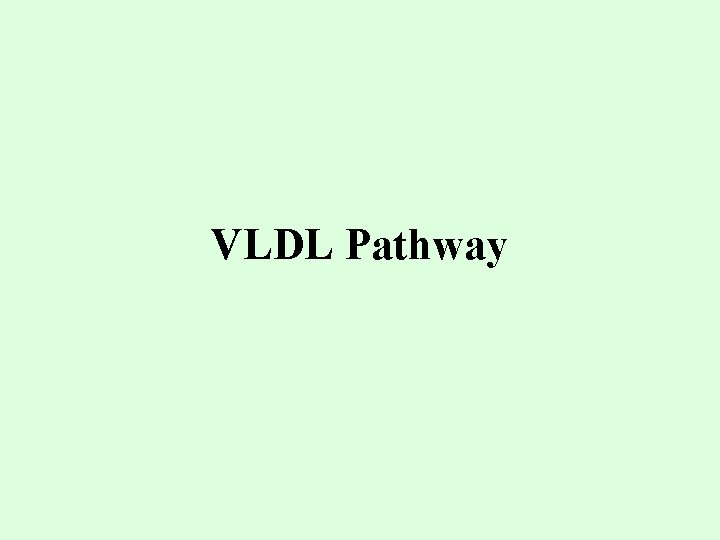 VLDL Pathway 