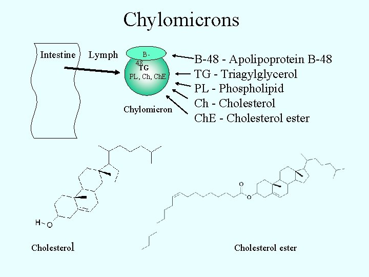 Chylomicrons Intestine Lymph B 48 TG PL, Ch. E Chylomicron Cholesterol B-48 - Apolipoprotein