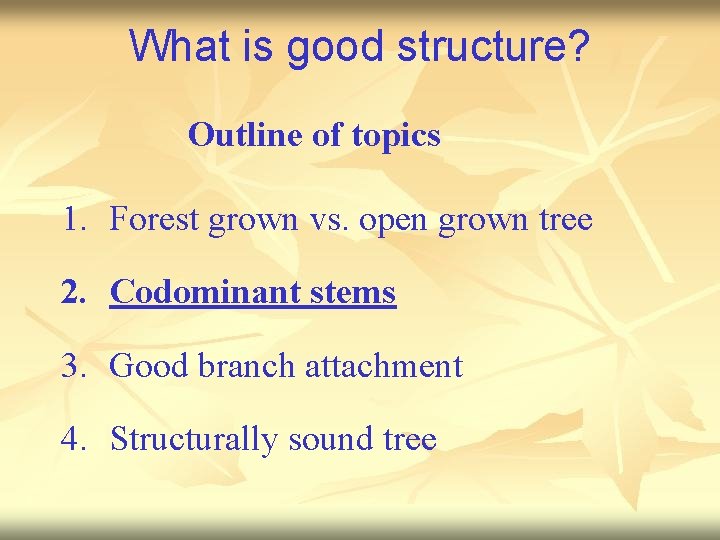 What is good structure? Outline of topics 1. Forest grown vs. open grown tree
