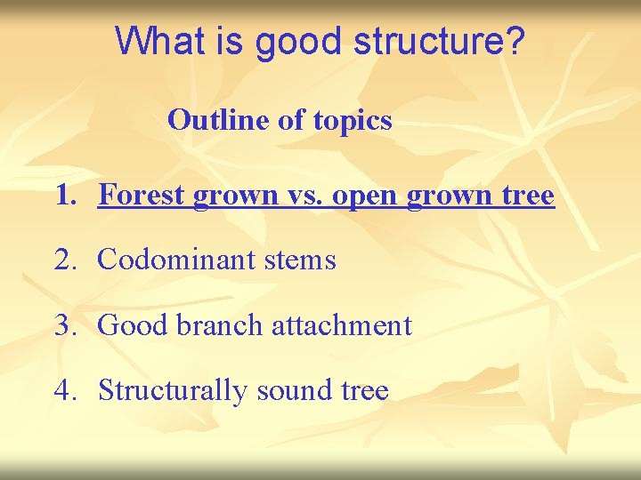 What is good structure? Outline of topics 1. Forest grown vs. open grown tree