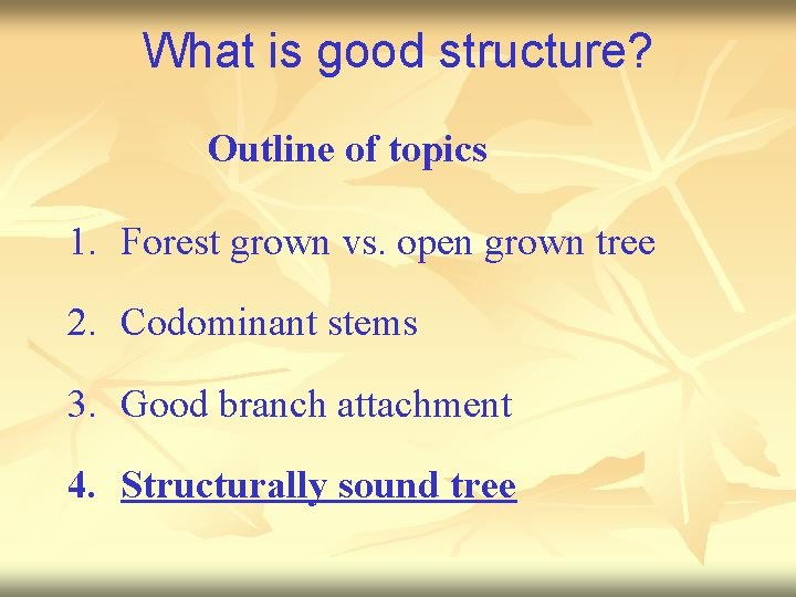 What is good structure? Outline of topics 1. Forest grown vs. open grown tree