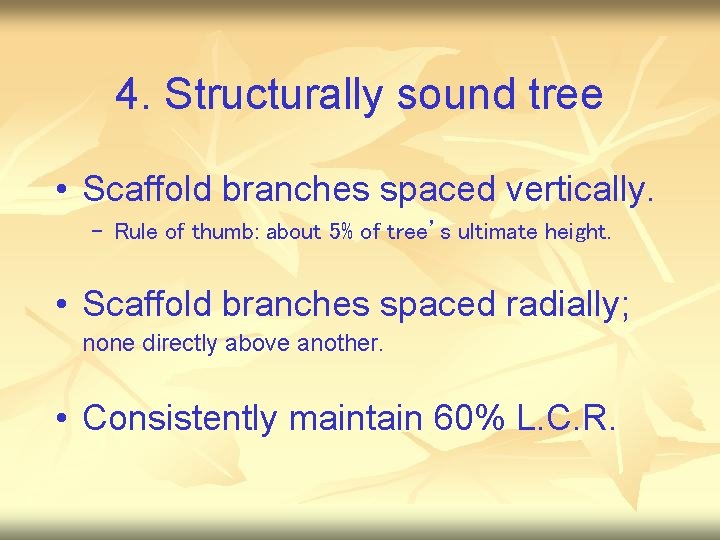 4. Structurally sound tree • Scaffold branches spaced vertically. – Rule of thumb: about