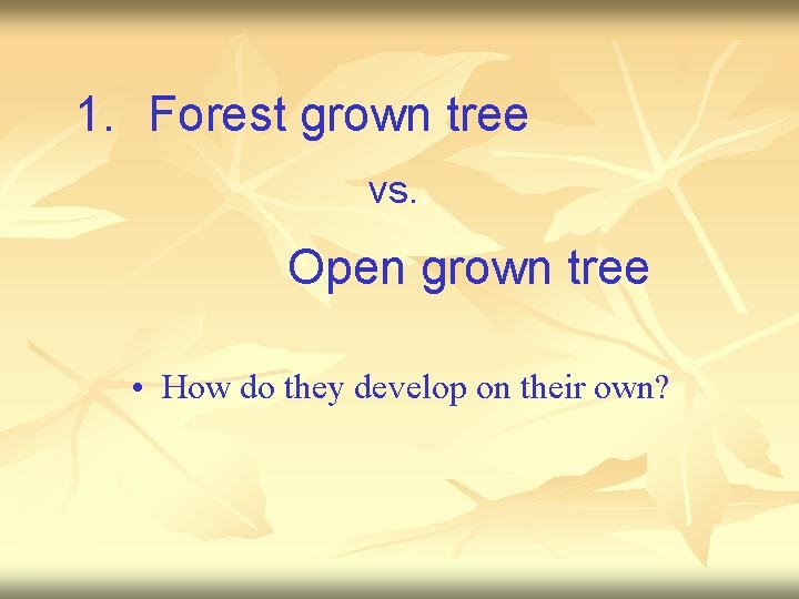 1. Forest grown tree vs. . Open grown tree • How do they develop
