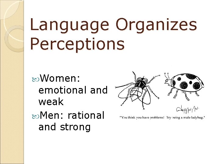 Language Organizes Perceptions Women: emotional and weak Men: rational and strong 
