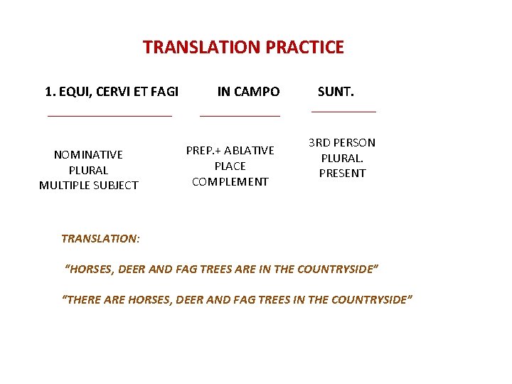 TRANSLATION PRACTICE 1. EQUI, CERVI ET FAGI IN CAMPO SUNT. NOMINATIVE PLURAL MULTIPLE SUBJECT