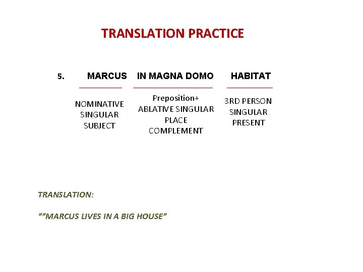 TRANSLATION PRACTICE 5. MARCUS NOMINATIVE SINGULAR SUBJECT IN MAGNA DOMO HABITAT Preposition+ ABLATIVE SINGULAR