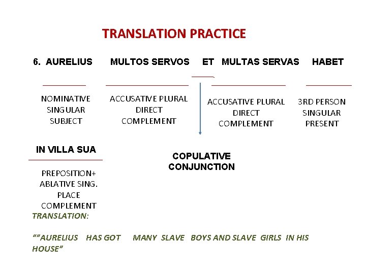 TRANSLATION PRACTICE 6. AURELIUS MULTOS SERVOS NOMINATIVE SINGULAR SUBJECT ACCUSATIVE PLURAL DIRECT COMPLEMENT IN