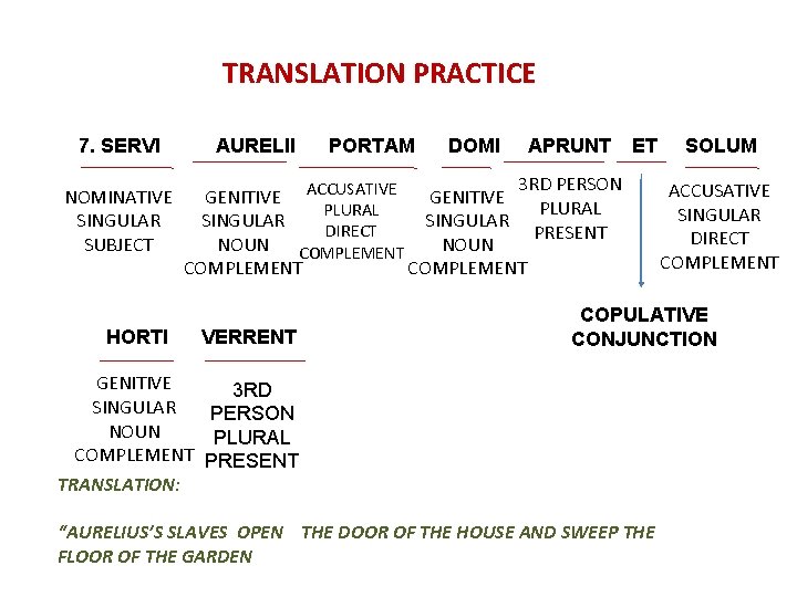 TRANSLATION PRACTICE 7. SERVI NOMINATIVE SINGULAR SUBJECT HORTI AURELII PORTAM DOMI APRUNT ET 3