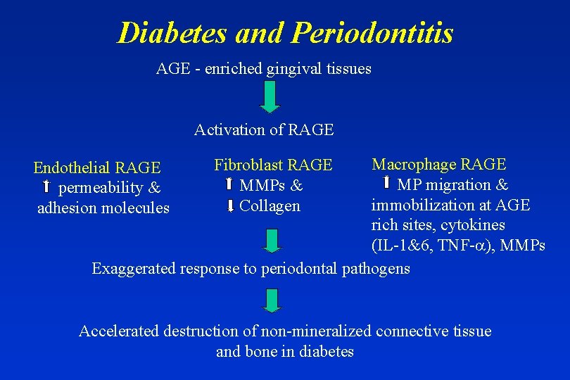 Diabetes and Periodontitis AGE - enriched gingival tissues Activation of RAGE Macrophage RAGE MP