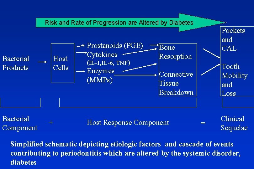 Risk and Rate of Progression are Altered by Diabetes Bacterial Products Bacterial Component Host