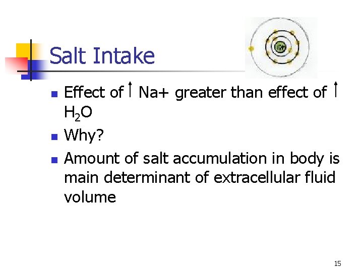 Salt Intake n n n Effect of Na+ greater than effect of H 2