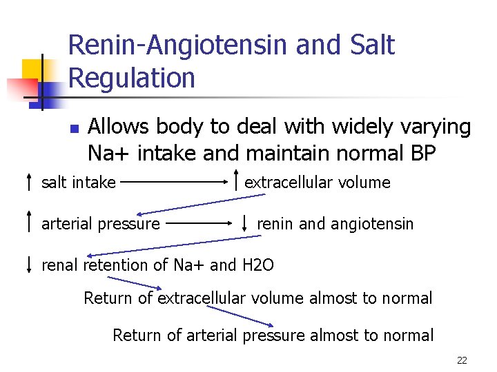 Renin-Angiotensin and Salt Regulation n Allows body to deal with widely varying Na+ intake