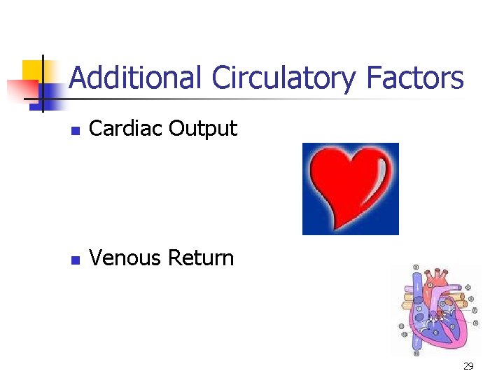 Additional Circulatory Factors n Cardiac Output n Venous Return 29 